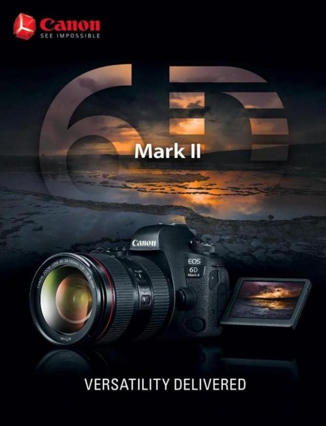 Canon EOS 6D Mark II . Japan Photo (2019-10-31-2019-10-31)