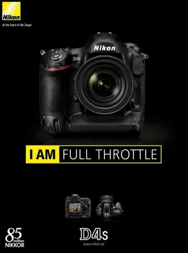 Nikon D4s . Japan Photo (2019-12-08-2019-12-08)