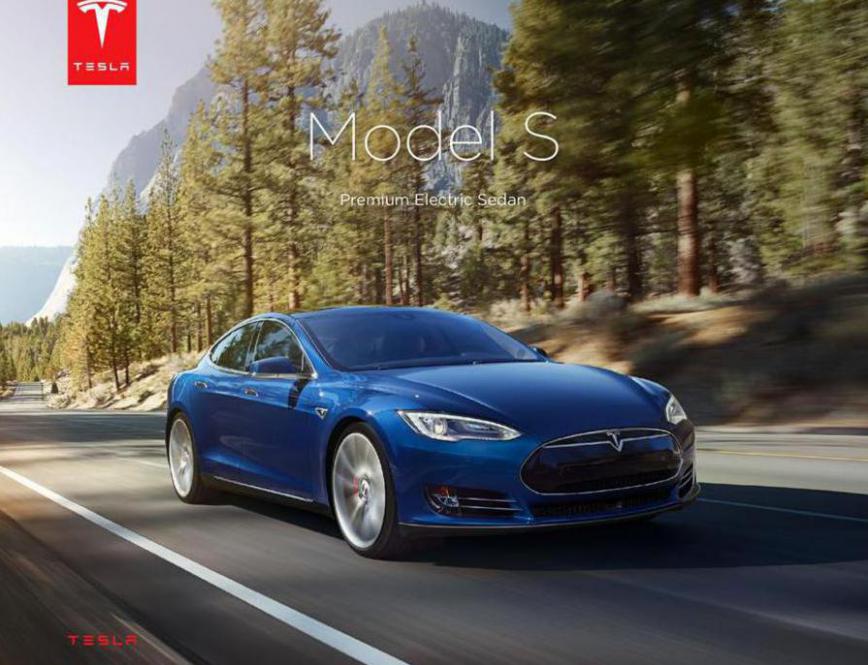 Model S . Tesla (2020-12-31-2020-12-31)