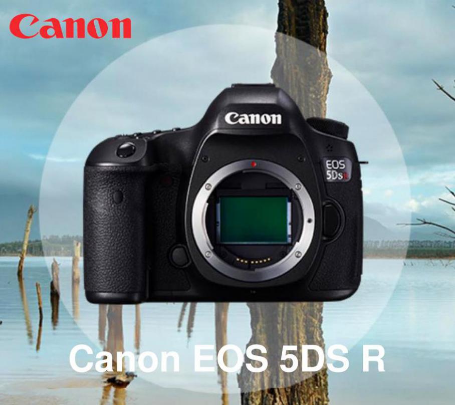 Canon EOS 5DS R . Japan Photo (2020-08-04-2020-08-04)