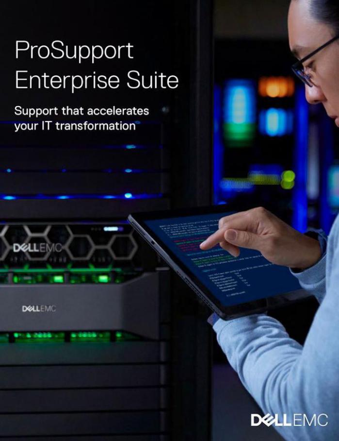 ProSupport Enterprise Suite . Dell (2020-07-31-2020-07-31)