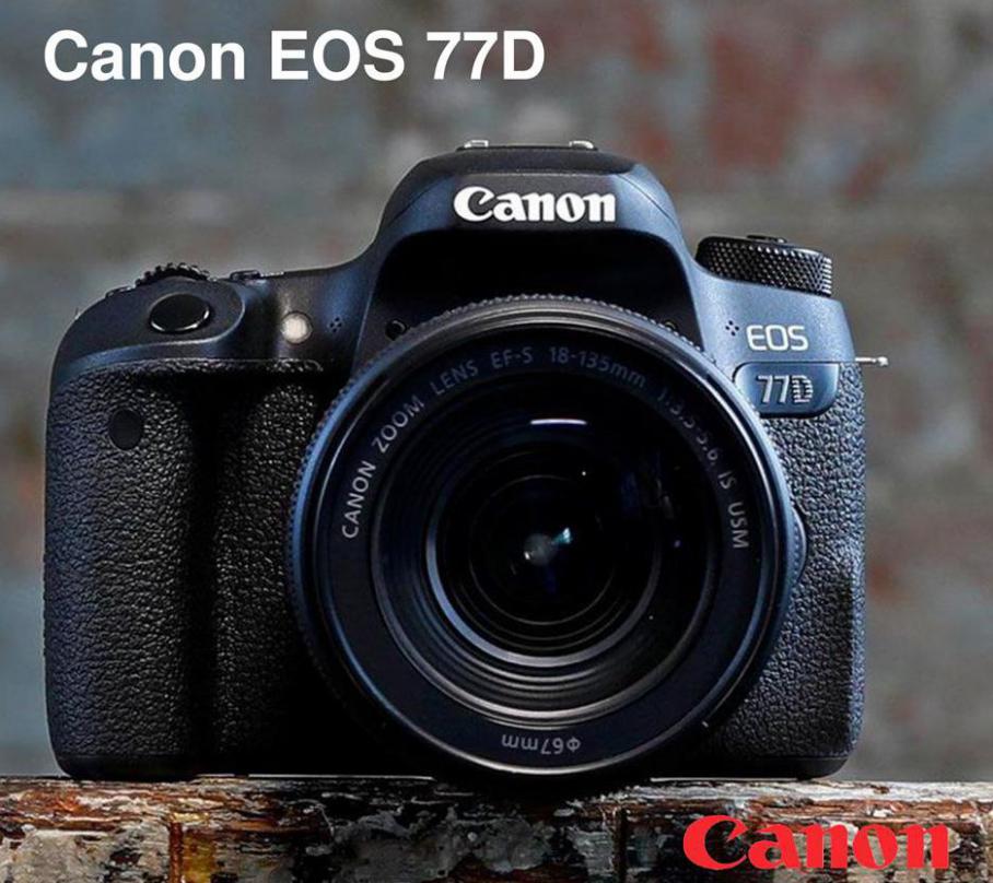 Canon EOS 77D . Japan Photo (2020-08-04-2020-08-04)