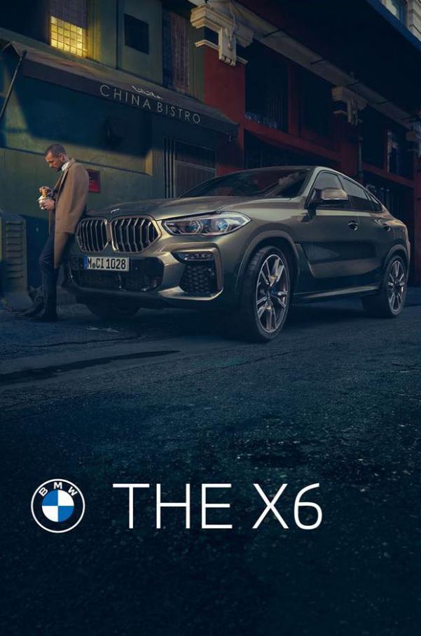 BMW X6 . BMW (2020-12-31-2020-12-31)
