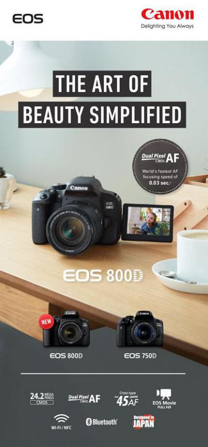 Canon EOS 800D . Japan Photo (2021-01-31-2021-01-31)