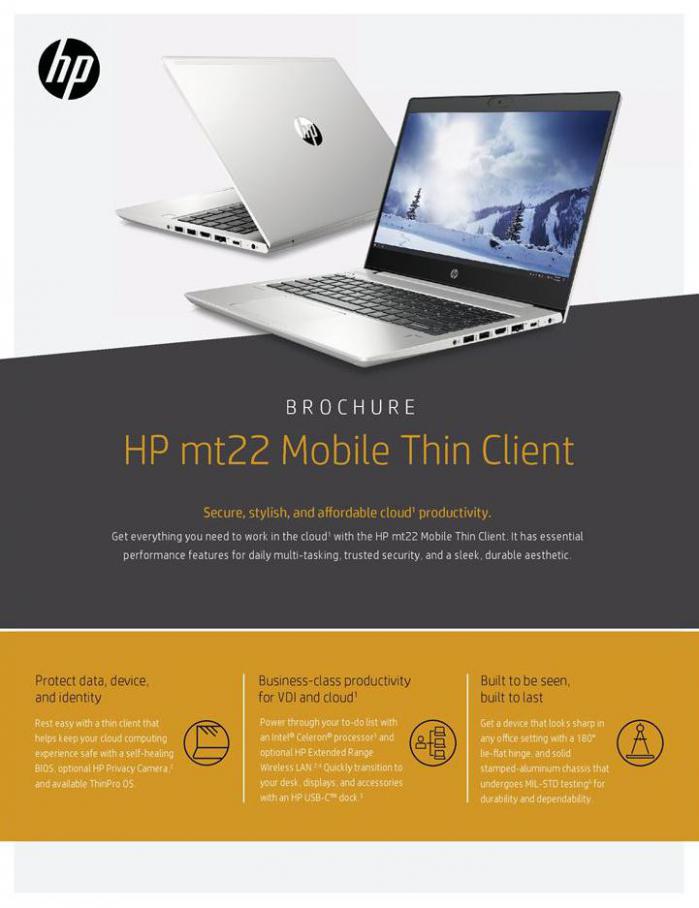 HP mt22 Mobile Thin Client . HP (2021-03-31-2021-03-31)