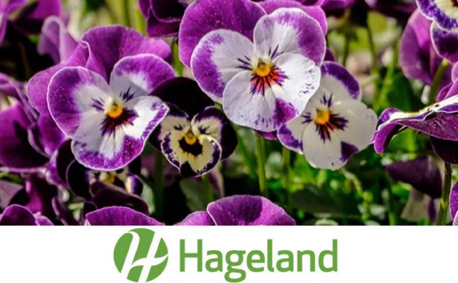 Kampanjer . Hageland (2021-06-15-2021-06-15)