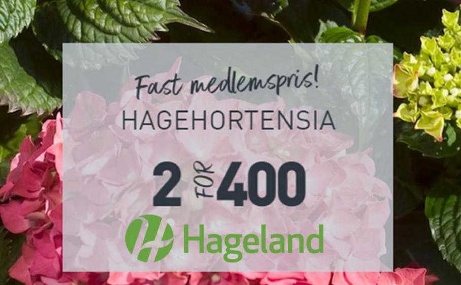 Kampanjer. Hageland (2021-07-01-2021-07-01)