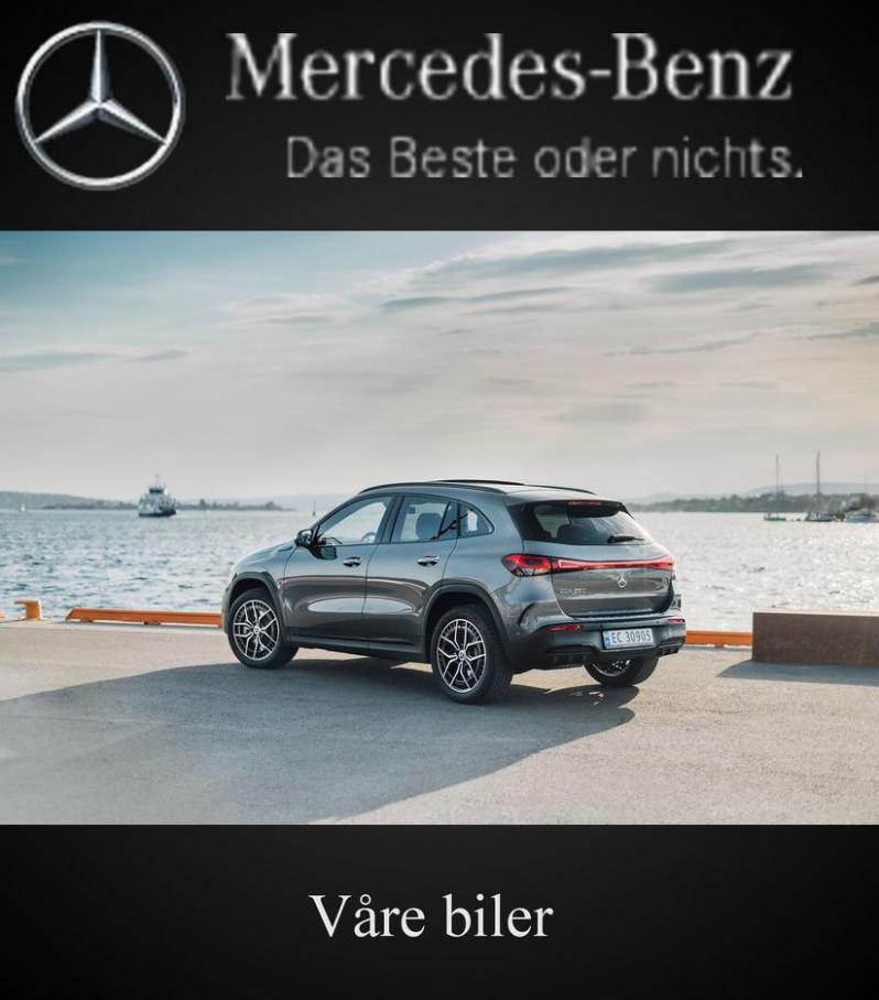 Våre biler. . Mercedes-Benz (2021-06-17-2021-06-17)