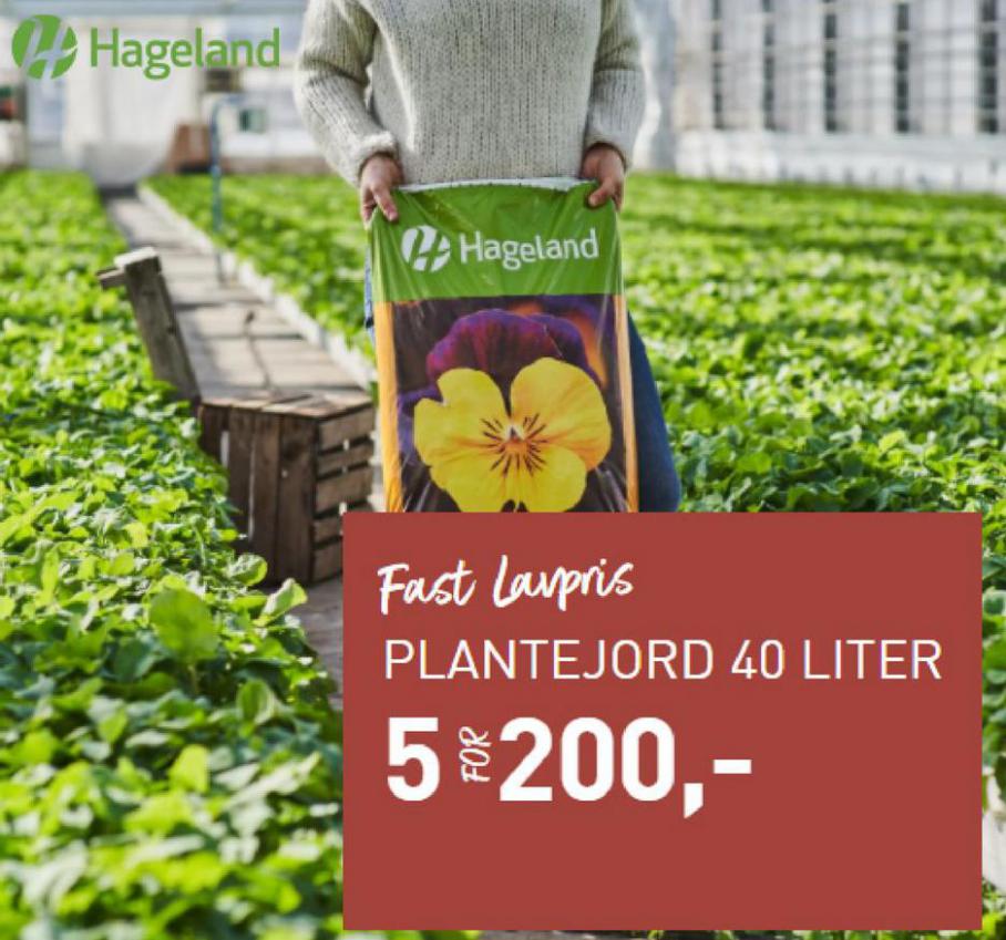 Salg. Hageland (2021-10-18-2021-10-18)