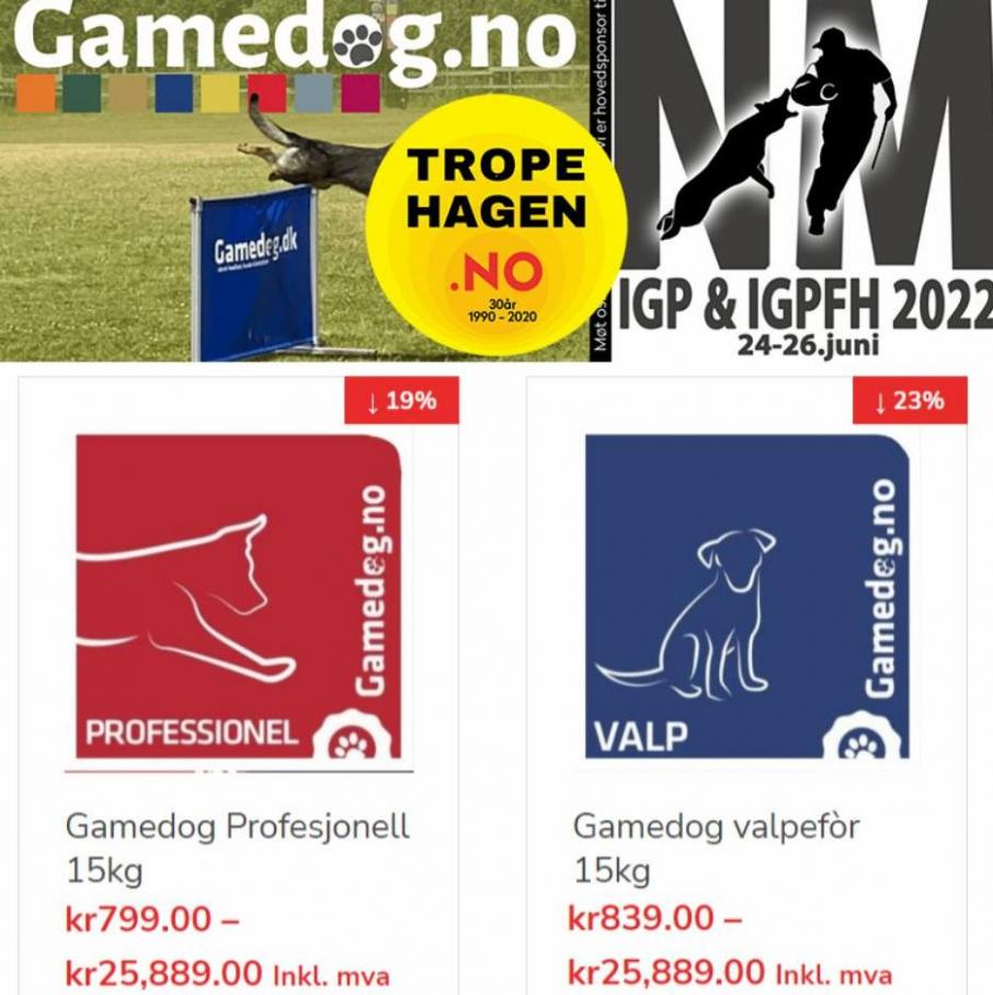 Gamedog spesialtilbud!. Tropehagen (2022-07-05-2022-07-05)