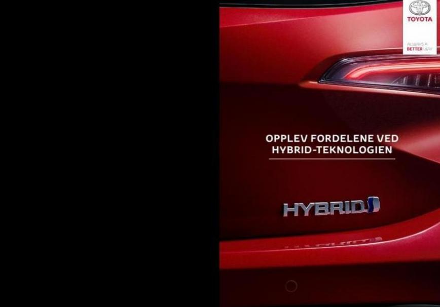 Brosjyre Hybridfordeler Kundeavis. Toyota (2024-01-08-2024-01-08)