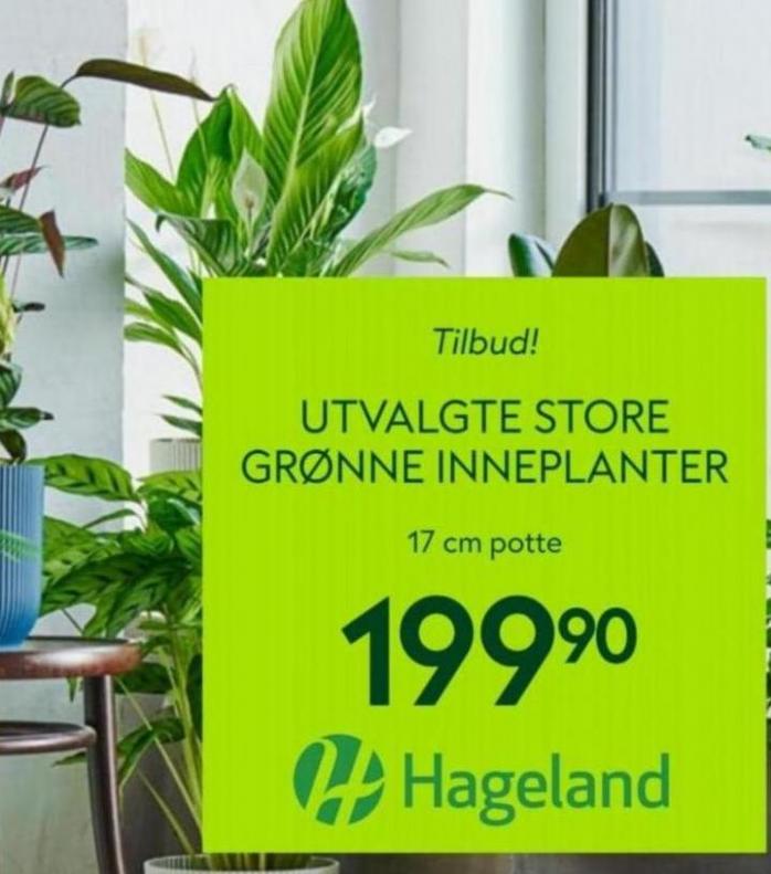 Hageland Tilbud!. Hageland (2023-02-22-2023-02-22)