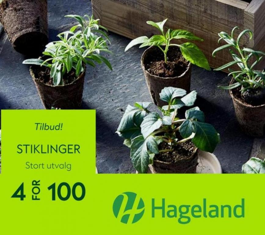 Hageland Tilbud!. Hageland (2023-03-15-2023-03-15)
