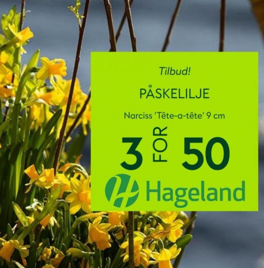 Hageland Tilbud!. Hageland (2023-03-29-2023-03-29)