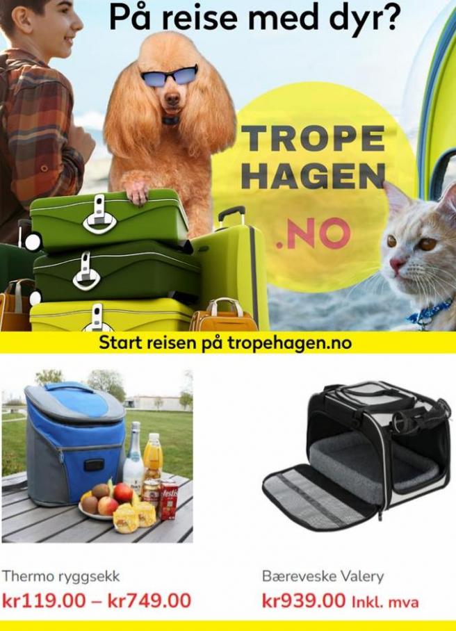 Hundevesker og ryggsekker!. Tropehagen (2023-10-22-2023-10-22)